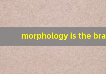 morphology is the branch